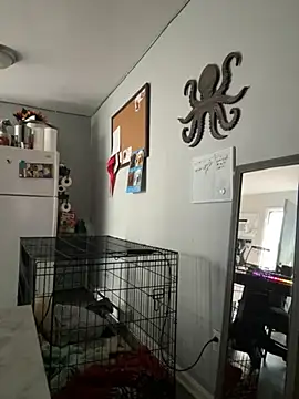 alluringpixie online show from March 2026 02:09:02 PM