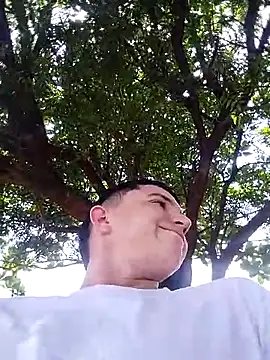 bigbo 777 online show from December 2025 05:08:02 PM