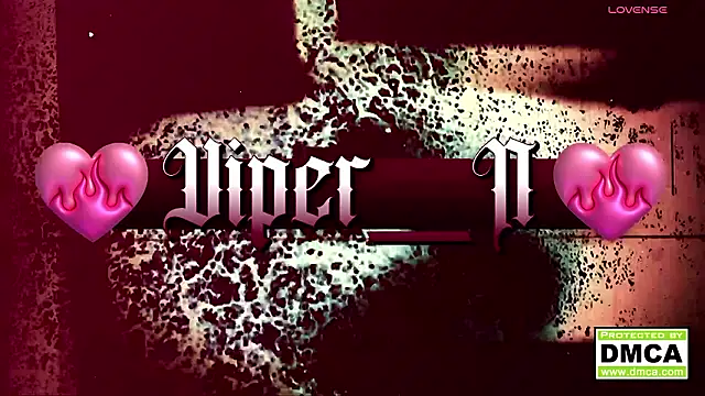 VIPER N1 online show from February 2026 12:09:02 AM