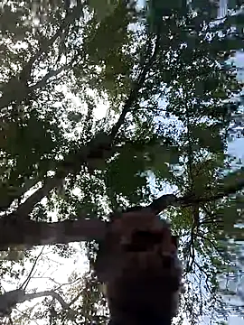 Andreskelly online show from March 2026 03:15:02 PM