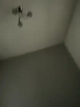 Snapshot of Yorkieboiiiiiii chatting on December 2025 11:50:01 AM Yorkieboiiiiiii online show from December 2025 11:50:01 AM