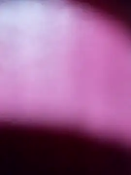 Myrelahot online show from March 2026 12:37:01 AM