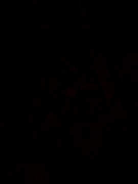 1Aya1Mustafa online show from March 2026 02:07:02 PM