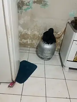 Snapshot of _-_charmosa chatting on December 2025 01:21:02 AM - charmosa online show from December 2025 01:21:02 AM