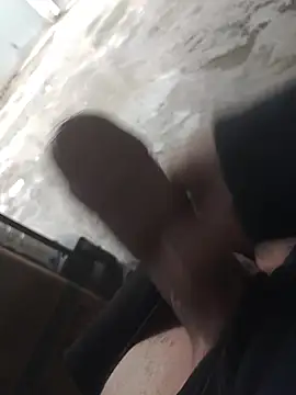 Mar81 online show from February 2026 12:21:01 PM