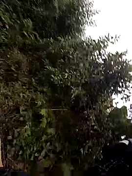 tyty2211 online show from December 2025 01:21:02 AM