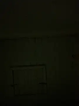 Snapshot of reckless_34 chatting on February 2026 11:52:02 PM reckless 34 online show from February 2026 11:52:02 PM