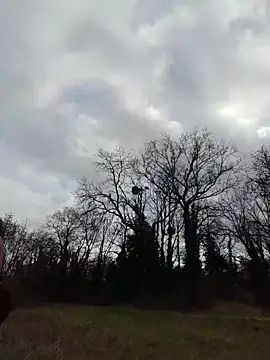 Sacha Scorp online show from February 2026 02:21:02 PM