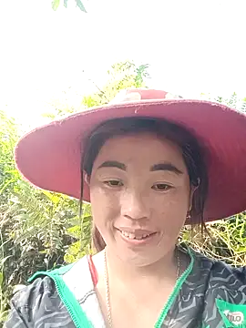 seacyre online show from April 2026 01:49:01 AM