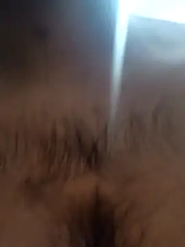 Snapshot of bnglrboy0886 chatting on February 2026 12:14:02 AM bnglrboy0886 online show from February 2026 12:14:02 AM