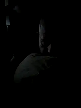 K9handler1 online show from December 2025 11:32:02 PM