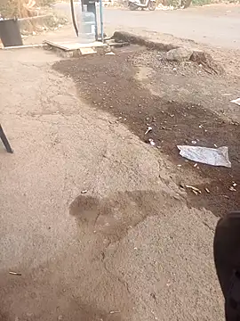 punecouplegroup online show from April 2026 01:52:02 AM