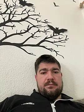 LienalWarplane online show from February 2026 01:41:02 PM