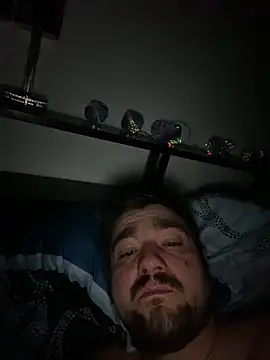 LienalWarplane online show from March 2026 04:05:01 AM