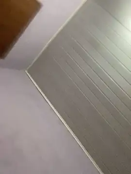 GuioficialBr online show from March 2026 07:30:02 AM