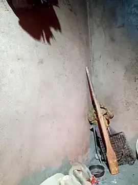 yula-bi online show from February 2026 12:14:01 PM