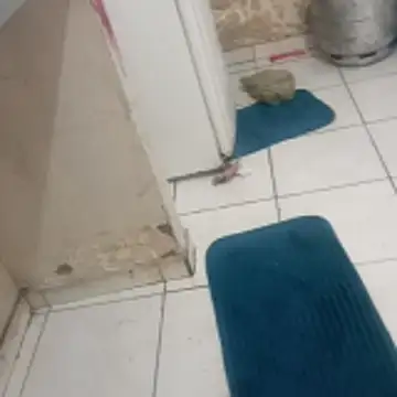 Snapshot of xxbucetudaxxx chatting on December 2025 11:17:01 AM xxbucetudaxxx online show from December 2025 11:17:01 AM