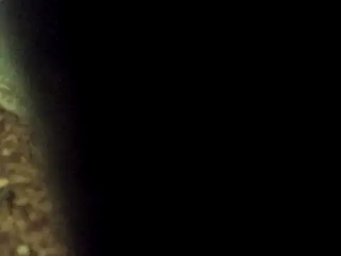 Maknithappen online show from March 2026 09:34:02 AM