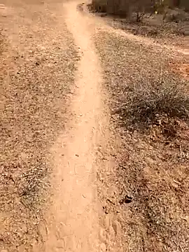 Tamilpaiyan07 online show from February 2026 05:55:01 AM