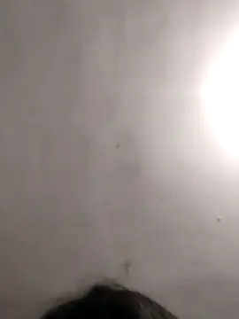 vanNe78 online show from January 2026 08:25:02 PM