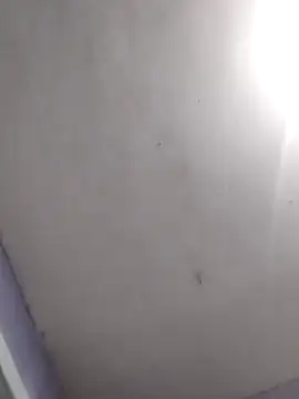 vanNe78 online show from February 2026 08:10:01 PM