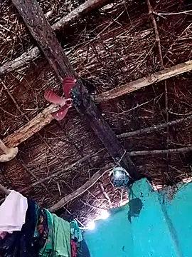 Rajni hote online show from February 2026 05:14:01 AM