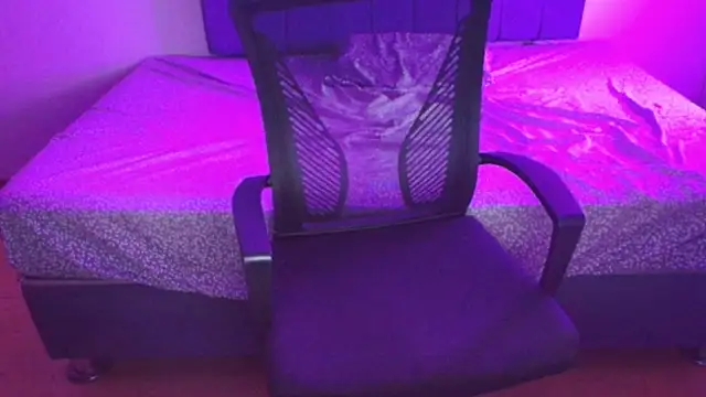 Sofii unicorn online show from March 2026 01:44:02 AM