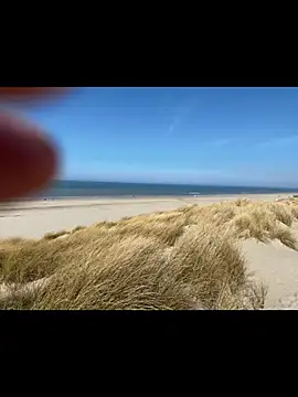 friemeldepiemel online show from March 2026 12:31:01 PM