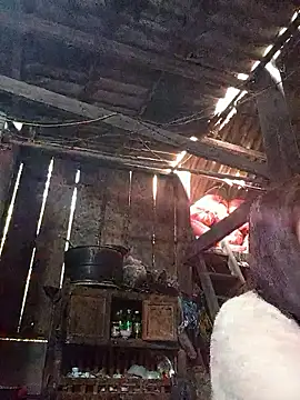 dakota-kis online show from January 2026 01:20:01 AM