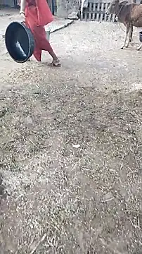 hornycouple20000 online show from April 2026 12:42:01 PM