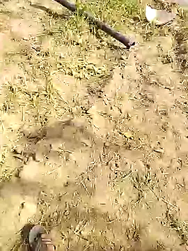 hornycouple20000 online show from June 2026 03:59:01 AM