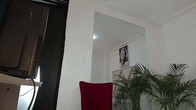 Liam saint online show from March 2026 12:11:01 PM