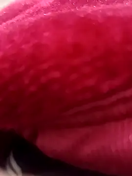 daksh  8 inche online show from February 2026 08:34:01 PM