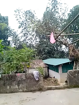 muamua99 online show from January 2026 12:15:01 AM