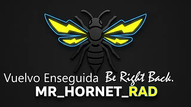 s hornet online show from May 2026 01:18:01 PM