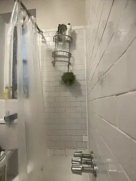 Snapshot of ElegantDic chatting on January 2026 06:46:02 PM ElegantDic online show from January 2026 06:46:02 PM