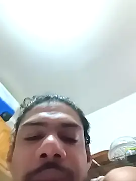 Snapshot of ElegantDic chatting on March 2026 01:17:02 PM ElegantDic online show from March 2026 01:17:02 PM