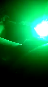 Snapshot of Robikabig20 chatting on January 2025 03:58:01 AM Robikabig20 online show from January 2025 03:58:01 AM