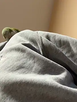 Snapshot of Andres56ojh chatting on February 2026 11:01:01 PM Andres56ojh online show from February 2026 11:01:01 PM