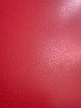 Miss me29 online show from February 2026 03:55:02 AM