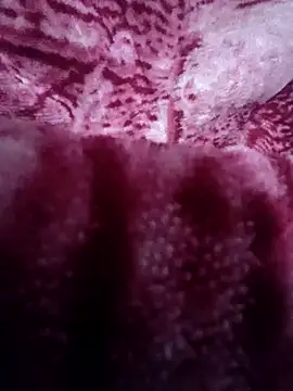 Pagelboy 089 online show from February 2026 01:10:02 AM