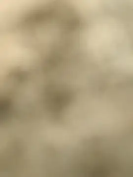 Pagelboy 089 online show from February 2026 09:30:02 AM