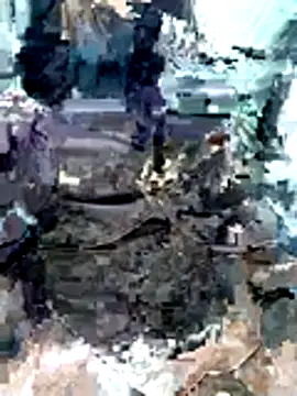 AfiqMeteoraa online show from January 2026 03:50:02 PM