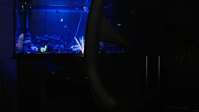 EspanolVato online show from April 2026 09:24:01 AM