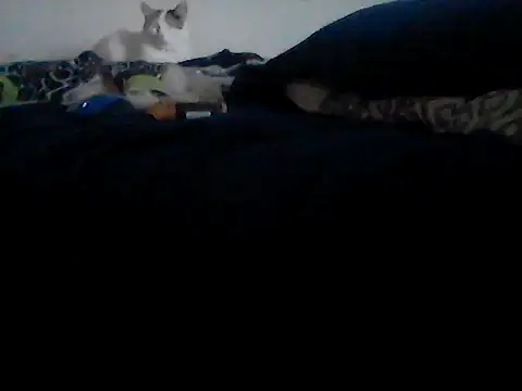 Silencio26 online show from February 2026 09:24:02 PM