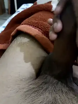  chota bunny  online show from February 2026 06:11:01 AM