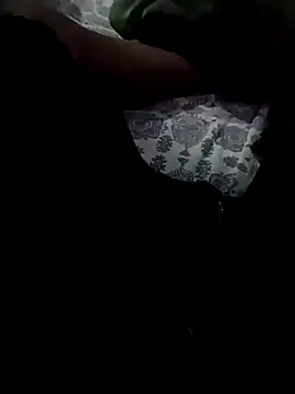 Snapshot of Fibhr56 chatting on March 2026 01:33:01 AM Fibhr56 online show from March 2026 01:33:01 AM