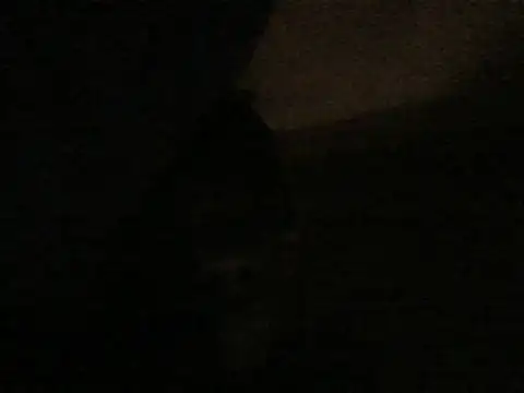 kwandero1234 online show from January 2026 06:21:01 PM