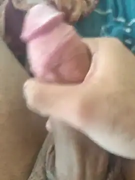 Alagoano12 online show from January 2026 05:06:02 PM