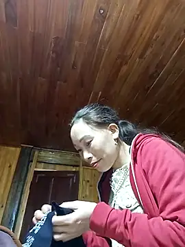 Nllpvp online show from January 2026 02:35:02 AM